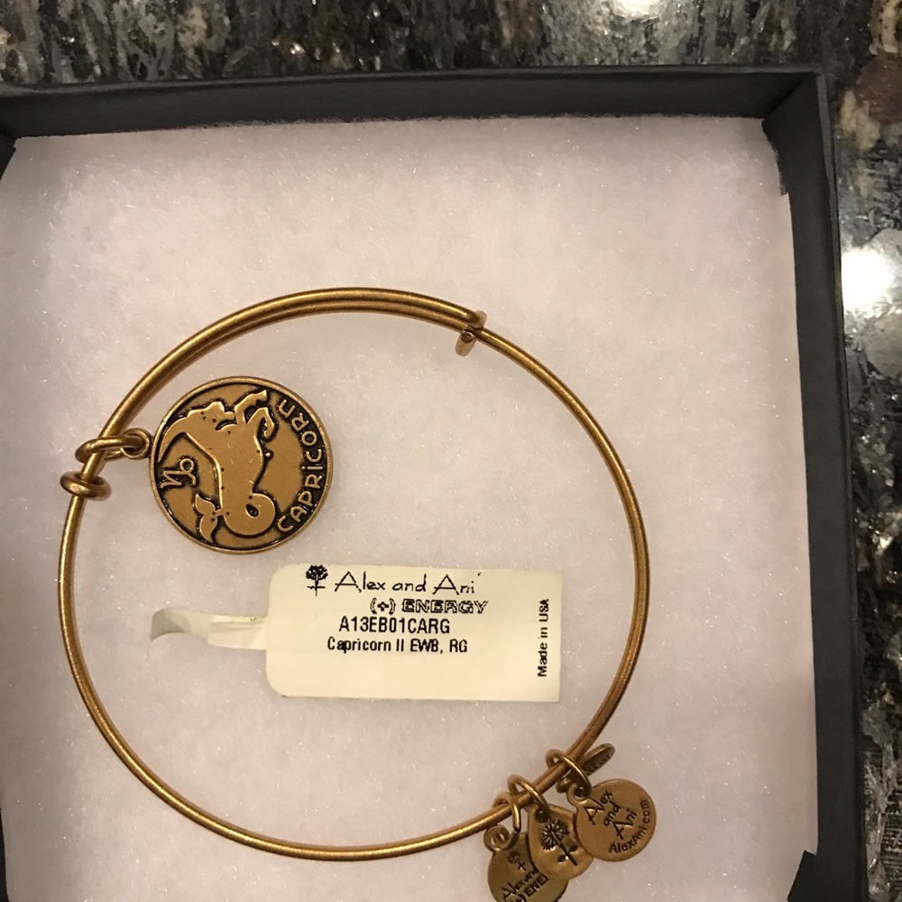 Alex and Ani- Capricorn bracelet!  New